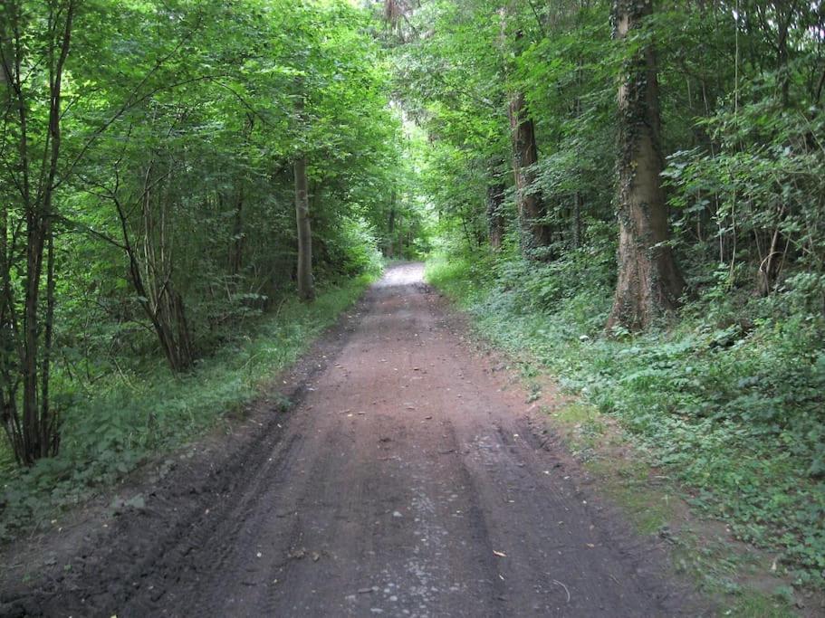 Gite Rural "L'Anseromia" ดีน็อง ภายนอก รูปภาพ