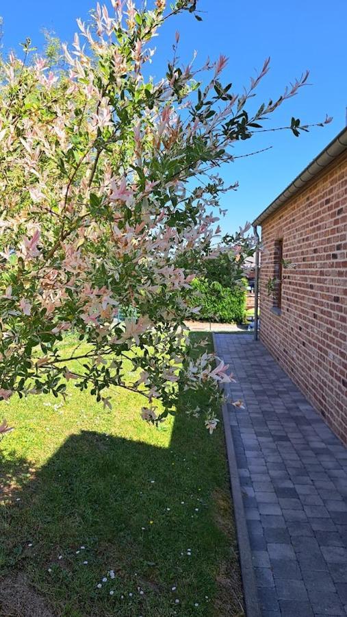 Gite Rural "L'Anseromia" ดีน็อง ภายนอก รูปภาพ